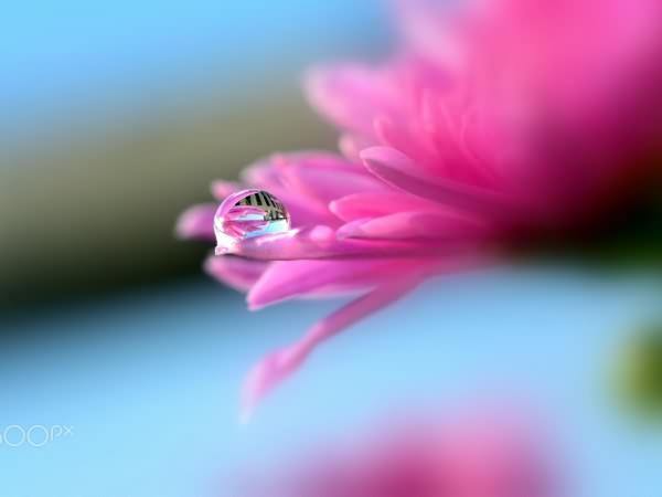 佛山市科桌科技有限公司網(wǎng)站全新改版??！